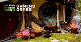 Gamers Grass